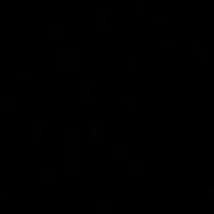 Meet your Posher, Mia